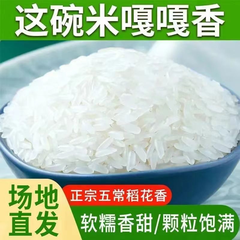 五常稻花香米长粒香米斤厂家直销大米批发东北黑龙江包邮克袋装