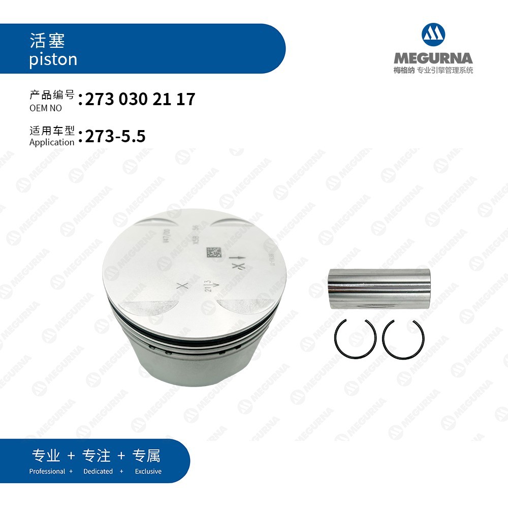A2730302117 is suitable for Mercedes-Benz 273-5.5 piston ring assembly/WG1016550