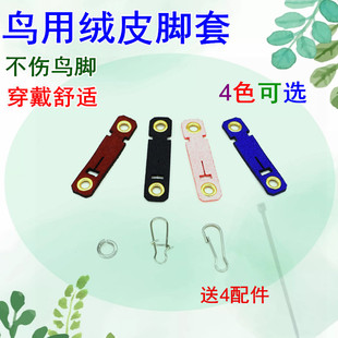 NC�B�_�h�����_�˸��W�^�_���_�ڭh����B�ۻ�ƤС�B���_�h���B�h