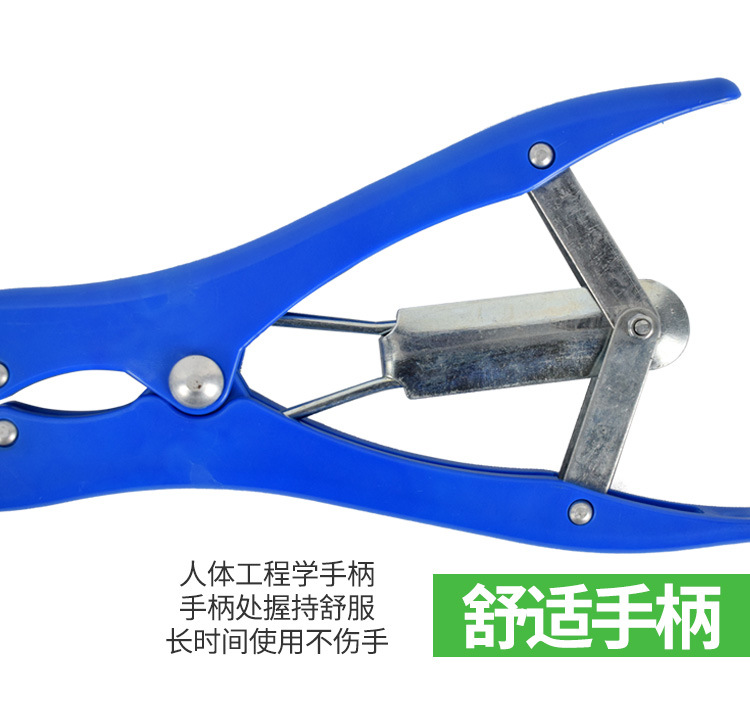 详情1_13.jpg