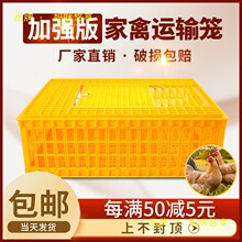 鸡笼运输笼塑料家禽周转箱筐成鸡鸭鹅鸽子笼子家用大号兔笼养殖笼