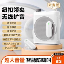 �羳M29�U���� �o���I�A�����L�o�[�д������̎��������ȴ�����y