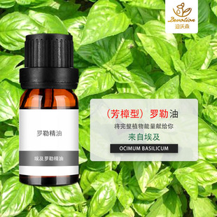 �����_�վ��ͷ�����Basil oil linalool type���_����ֲ��ԭ��