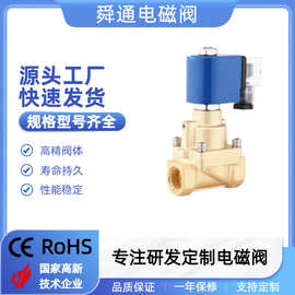 电磁阀厂家STHA21-15黄铜AC220VDC24V高压活塞式先导高压式电磁阀