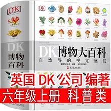 dk�����ٿ����� Ӣ��DK��˾���� ���꼉�σԱ��x�n�����ͯ�x��