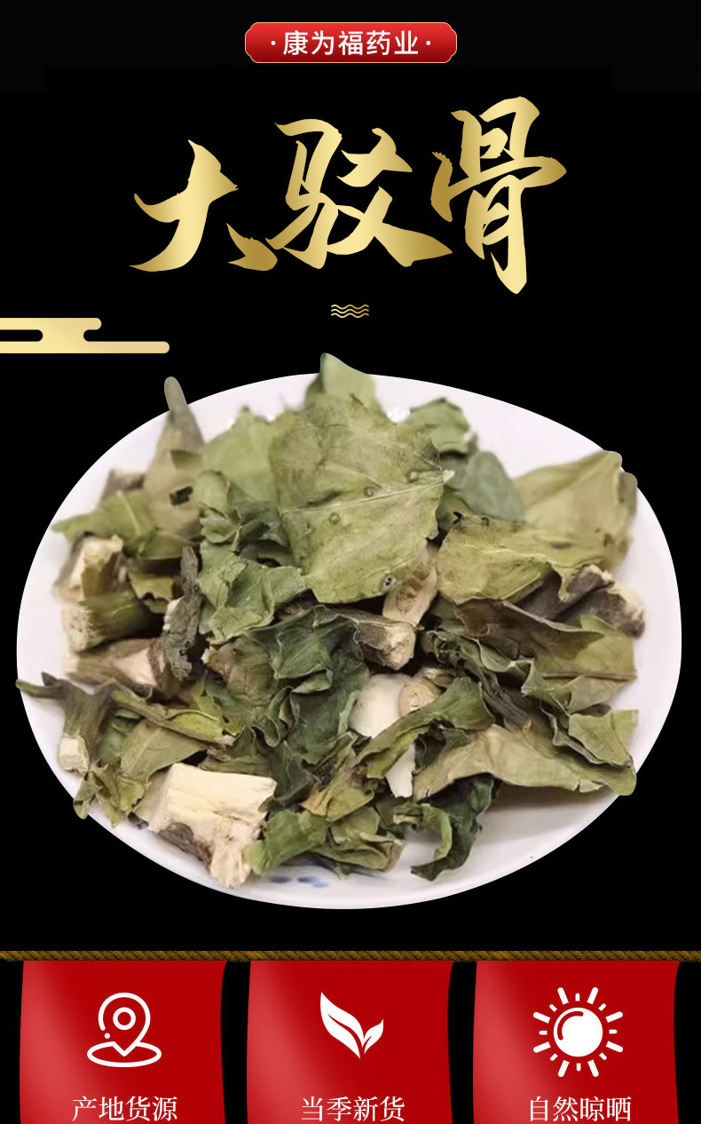 Da Bo Gu (Gendarussa vulgaris) — Dried TCM Herb for Bone-Setting & Wind-Damp Formulas overview