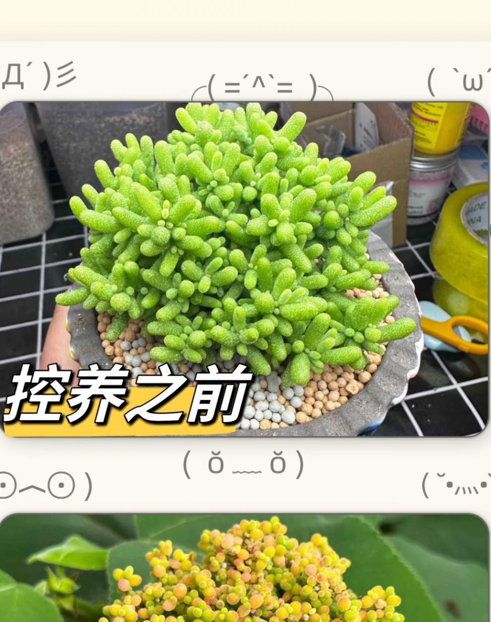 c1956c11-2020-4ca0-afa5-caa62caf5bf6.jpe