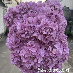 【シミュレーションアジサイ】外国貿易5頭のフランスのアジサイ紫紅フランスのアジサイは結婚祝いの花の卸売りに代わっています。