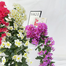 �����_�m���� ���_�m�ڒ��c�Ҿ��b�Ʒ���ٻ� �͏d�b����ٻ�