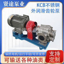 KCB不锈钢外润滑齿轮泵 不锈钢磁力齿轮泵 转子泵 外润滑齿轮泵