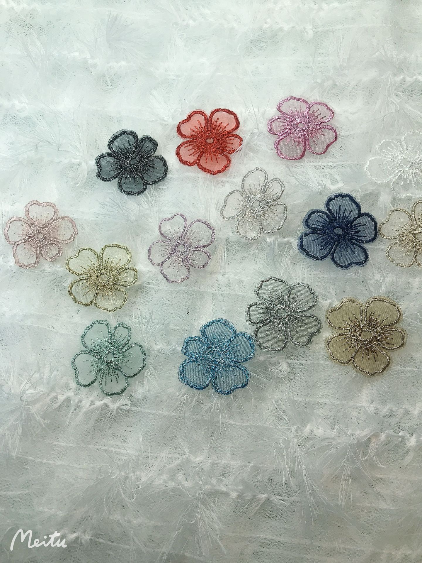 IMG_1468(20210206-094234)