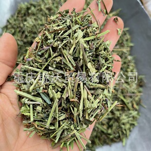 1000�����lɢ�b��ɰ�֦ɏͨ�������B�� ��֦ɏ �K�^�ݸ�Ʒ