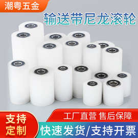 尼龙轴承滑轮输送尼龙导轮无动力传送带滚筒配件耐磨导向夹轮滚轮