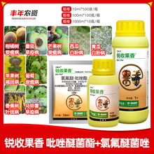 ˹Jչ40%ȷ׷۲~̿Ҳrș