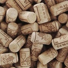 Ȼܛľ/ϳܛľ/SaҎܛľ