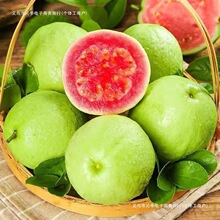 �����]���l�t�İŘ�������r��ʯ�񑪼�ˮ���������N������÷��