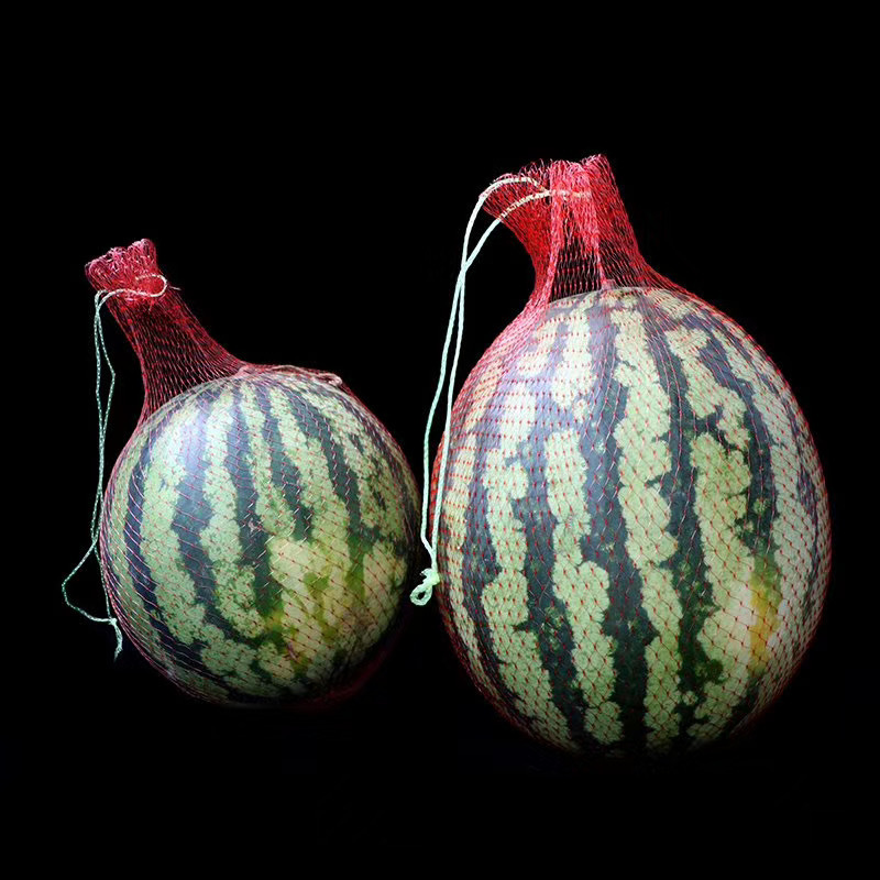 Wholesale planting watermelon hanging net fruit egg garlic crab plastic mesh bag watermelon pumpkin melon planting hanging bag