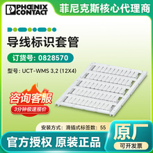 �����˹�������R�׹�UCT-WMS 3,2 (12X4) 0828570��܉ʽ�˺���