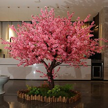 �����һ�����ͼ��Ҙ��҃��̈��Ƶ�ֱ���g�S������侰�^�b�