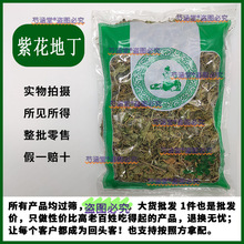 紫花地丁材犁头草紫草地丁草柴花苦地丁紫地丁草药非野生中药材