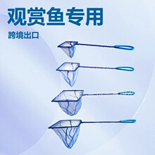 厂家供应三线鱼捞 蓝杆蓝网捞鱼网观赏鱼渔捞网鱼缸小抄网批发