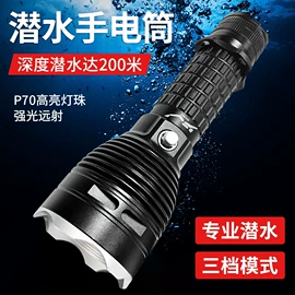 手电筒;头灯头戴电筒;提灯