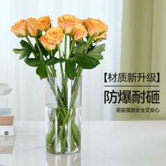 プラスチック透明花瓶国境を越えた高透はガラス花桶花屋の目を覚ます花桶水培大花瓶水養植物