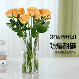 花盆容器;收纳盒;塑料杯