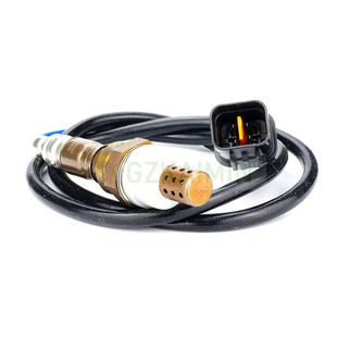 �m�������V31 �W�{�� �ȁ���F6���������� OE  MD362290