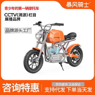 Storm Rider Teenager Electric Motorcycle Motorcycle Motorcycle Harley Wind 6-16 Years Old Boys and Girls Can Rit for Charging