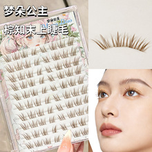 ���乫�� ��֮ĩ��ɫ�Ͻ�ë�ֶ�ʽ͸�������拌����Ȼ�W�t���R��