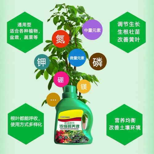 Nutrient solution flower foliar fertilizer green plant fertilizer foliar fertilizer concentrated nutrient solution universal for hydroponic plants