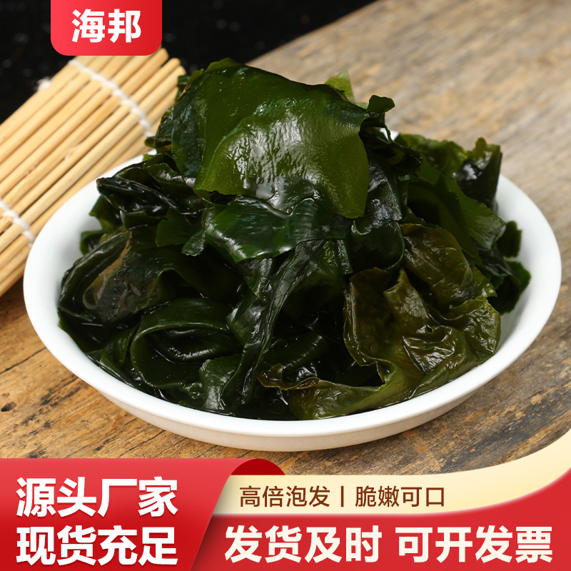 新鲜独立裙带菜裙带菜即食干货儿童特韩式级海带嫩苗海藻菜
