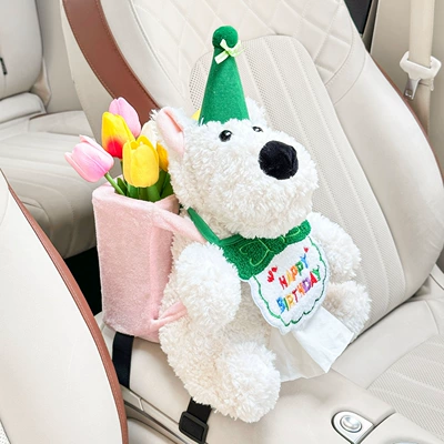 Car Tissue Box, Practical | Car tissue box/set