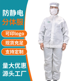 Dust-Free Work Clothes, Anti-Static Hooded Split Clothes, Special Safety Protective Clothes for Electronics Factories, Special for Dust-Free Workshops