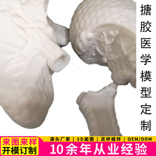 �t�W�̌W���߁�D��Ӷ��� �S�����a���w���ʷ���ģ���^�B ���K