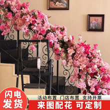 �����ٲ�����ˇ��Ʒ��c���滨�Y����ַ��滨��Y���������b�