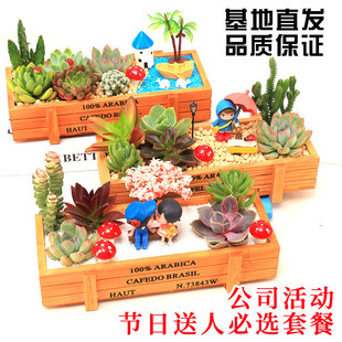 ����DIY΢���^��F����ֲ��M�������ײͲ��ϰ��������Gֲ�[��