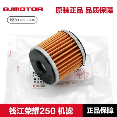 Orijinal Qianjiang Motosiklet Glory 250 QJ250-2H Yağ Filtri Elementi