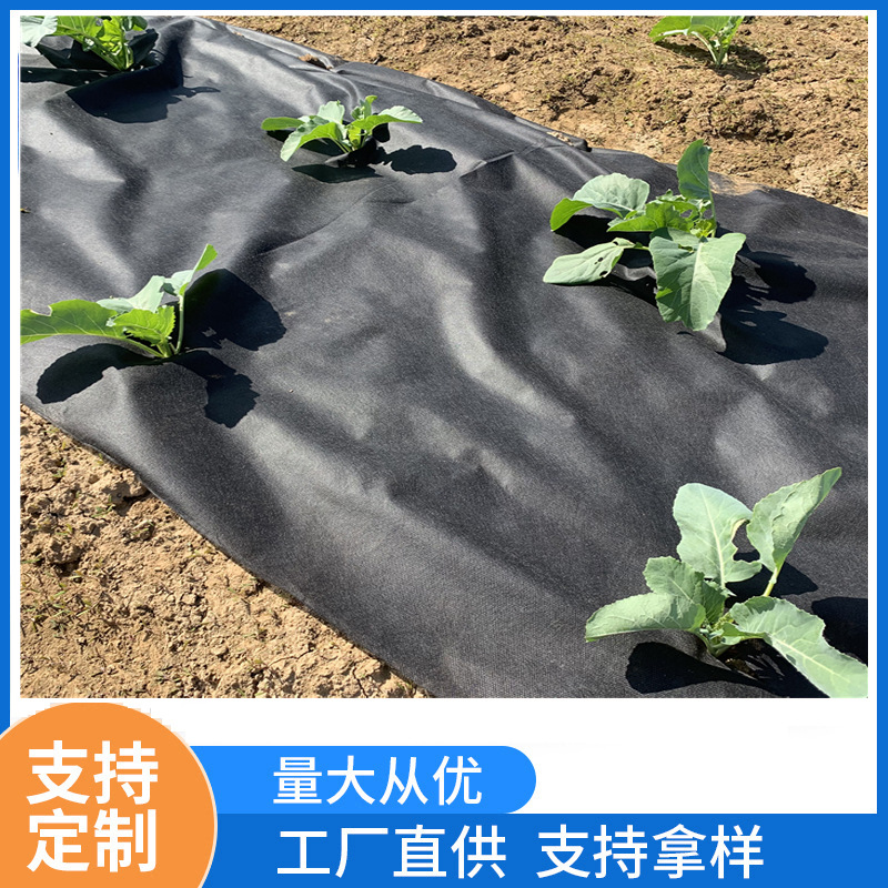 福建澳杰跨境销售黑白色无纺布农业覆盖pp无纺布除草纺粘无纺布