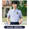 Men's blue striped short-sleeved shirt
