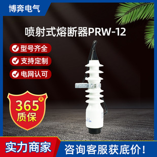 ����ʽ�۔���PRW-12/200����ʽ���]�ͱ��U�ٿv�U10kv������˸߉�