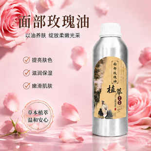 õ�徫���沿��������ԺԺ����Ħ����޹�������B���w�o�wֲ�ﾫ��