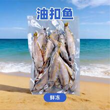 大连特产油扣鱼干淡干黄鲫鱼干干粉新鲜商用海鲜干货新鲜真空