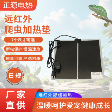 ��Ҏ�t�����x�ӟ�|�l��|�l��Ƭ���{���_�P����|����ӟ�|