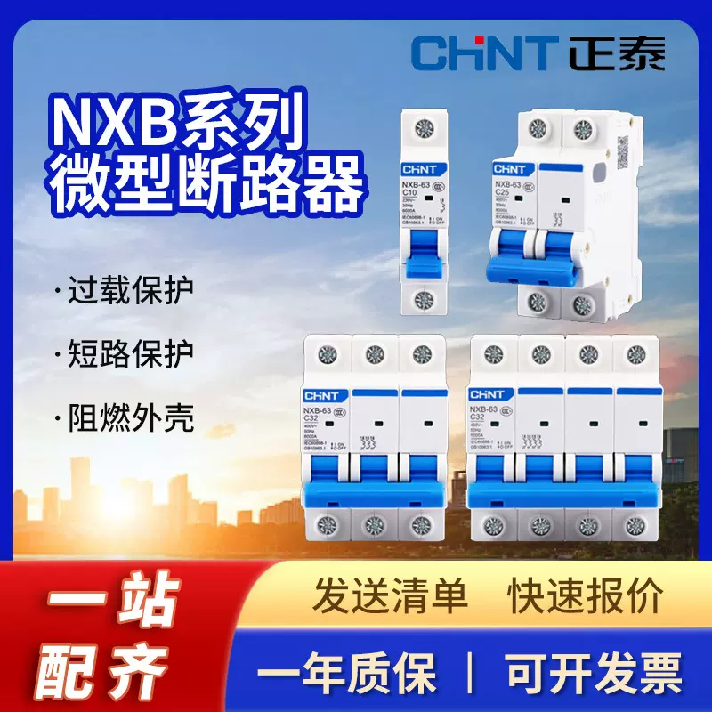 CHINT正泰电器 NXB-63系列小型断路器 12只/盒，180只/微型家用