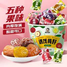 遇饯梅好5种口味混合桶果脯蜜饯苏式梅子休闲零食果干独立小包装