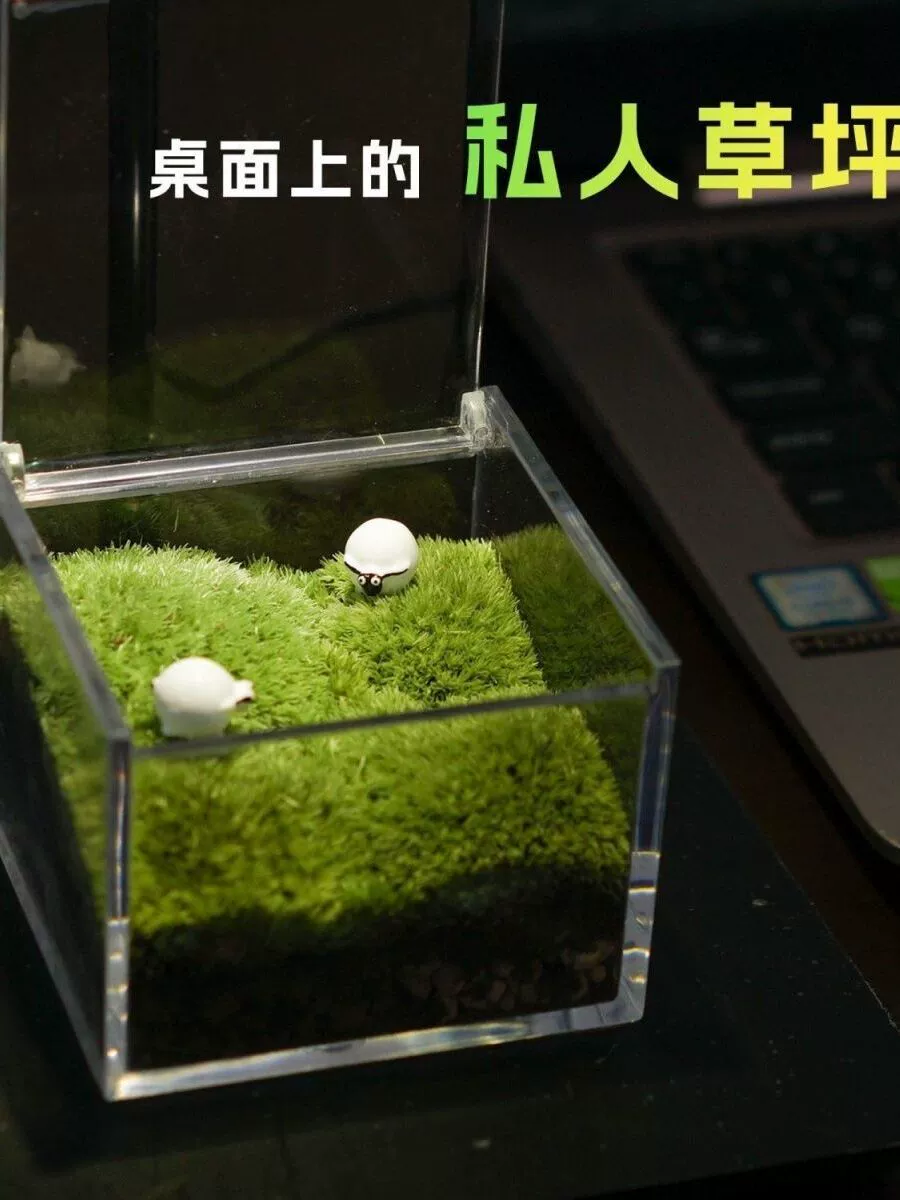 Офисные настольные украшения, частный газон, мох, микроландшафт, экологическая бутылка, подарок на день рождения, мини-зеленое растение, горшок с мхом