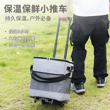 Insulated Collapsible Rolling Compact Cooler Smart Cart