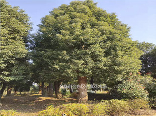 ������ȫ���������Դ�Ǽ������ЗU�����Ѕ��� ���������l